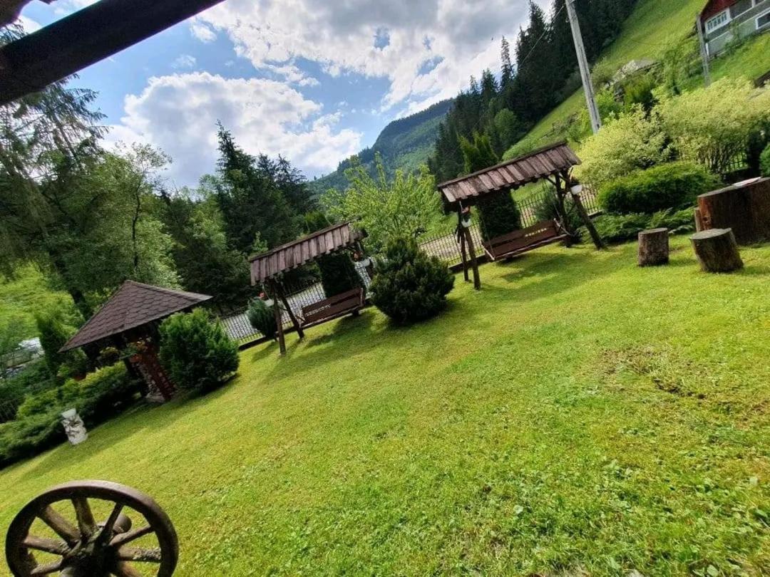 Pensiunea Cla Albac Esterno foto
