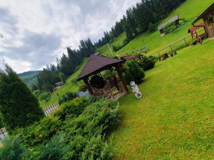 Pensiunea Cla Albac Esterno foto